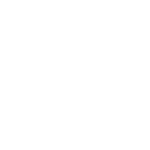 ASEO-5-300x300